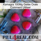 Kamagra 100Mg Gelée Orale Comment Utiliser 13